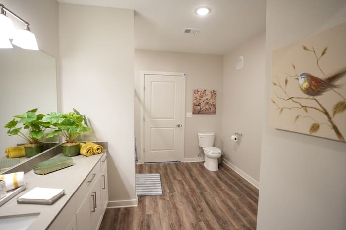 Avonlea bathroom with a long vanity and toilet